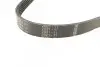Ремень поликлиновой 6PK1180 AUDI 1,9TDI; BMW E38; FORD 1,2/1,4; SKODA; VOLVO; VW; HONDA 2,0; RENAULT BOSCH 1987947946 (фото 2)