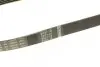 Ремень поликлиновой 6PK890 LADA 1118 Kalina; AUDI 1,9TDI; CITROEN; FIAT Scudo 1,6i; NISSAN; PEUGEOT BOSCH 1987947934 (фото 4)