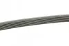 Ремень поликлиновой 6PK1715 FORD 1,8: Focus, Mondeo; OPEL Frontera 2,0/2,2; RENAULT; VW T4; LANCIA BOSCH 1987948453 (фото 2)