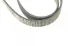 Ремень поликлиновой 6PK1715 FORD 1,8: Focus, Mondeo; OPEL Frontera 2,0/2,2; RENAULT; VW T4; LANCIA BOSCH 1987948453 (фото 3)