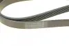 Ремень поликлиновой 6PK1715 FORD 1,8: Focus, Mondeo; OPEL Frontera 2,0/2,2; RENAULT; VW T4; LANCIA BOSCH 1987948453 (фото 4)