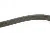 Ремень поликлиновой 6PK1038 VW 1,6-2,0; FORD Galaxy 1,9; SEAT; NISSAN 2,0; LANCIA 2,0/2,4 BOSCH 1987946000 (фото 3)