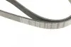 Ремень поликлиновой 6PK1038 VW 1,6-2,0; FORD Galaxy 1,9; SEAT; NISSAN 2,0; LANCIA 2,0/2,4 BOSCH 1987946000 (фото 5)
