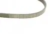 Ремень поликлиновой 5PK1300 AUDI A4/A6 1,6/1,8T; VW Passat 1,6-2,0; SKODA Superb 1,8T/2,0 BOSCH 1987946070 (фото 4)