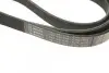 Ремень поликлиновой 6PK1675 AUDI 2,6/2,8; FORD 1,6/1,8; RENAULT Laguna 2,2; VOLVO 2,5TDI BOSCH 1987947979 (фото 5)