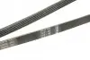 Ремень поликлиновой 5PK1592 AUDI A4/6 1,9TDI; VW Passat 1,9TDI; SAAB 9000 2,0/2,0Turbo BOSCH 1987946022 (фото 4)