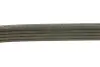 Ремень поликлиновой 5PK962 CITROEN 1,5D; FIAT 1,4-1,9; LANCIA; HONDA; NISSAN; PEUGEOT BOSCH 1987947918 (фото 2)