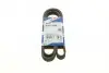 Ремень поликлиновой 6PK1555 BMW E36/34/39; FORD Escort; RENAULT 19 1,9D; VOLVO; ROVER 1987947949 BOSCH