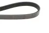 Ремень поликлиновой 4PK875 ALFA; HONDA 1,3-1,6; HYUNDAI; KIA; MAZDA; NISSAN; TOYOTA BOSCH 1987947897 (фото 4)