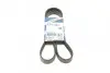Ремень поликлиновой 6PK1293 AUDI 100/A6 2,3; VW 2,3: Golf IV, Bora; SEAT Toledo 2,3 1987948487 BOSCH
