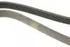 Ремень поликлиновой 6PK1293 AUDI 100/A6 2,3; VW 2,3: Golf IV, Bora; SEAT Toledo 2,3 BOSCH 1987948487 (фото 4)