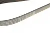 Ремень поликлиновой 6PK1890 FORD Focus 1,4/,6 98-05; TOYOTA 1,6/1,8: Corolla, RAV4 BOSCH 1987946039 (фото 4)