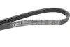 Ремень поликлиновой 5PK1225 CITROEN; OPEL 1,0/1,2; PEUGEOT; RENAULT; SKODA; TOYOTA BOSCH 1987947929 (фото 3)