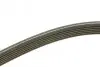 Ремень поликлиновой 6DPK1195 AUDI A3 1,6/1,8; VW 1,6-2,0 99-; SKODA Octavia; SEAT BOSCH 1987946200 (фото 3)