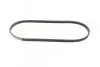 Ремень поликлиновой 4PK850 CITROEN Berlingo 1,4/1,6; HONDA; MAZDA; NISSAN; TOYOTA BOSCH 1987947895 (фото 5)