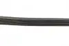 Ремень поликлиновой 6PK1705 AUDI 2,4/2,5; BMW E46; CITROEN; FIAT; LANCIA; PEUGEOT BOSCH 1987947989 (фото 3)