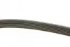 Ремень поликлиновой 6PK1880 AUDI A4/6 3,0; VW Polo 1,2; SKODA; SEAT; TOYOTA BOSCH 1987946064 (фото 2)