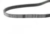 Ремень поликлиновой 5PK884 BMW E36; CITROEN; FIAT; FORD 1,8; RENAULT; VOLVO BOSCH 1987947912 (фото 2)