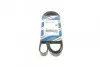 Ремень поликлиновой 6PK1750 AUDI; FIAT; FORD; PEUGEOT; VW; VOLGA 3110/3102 1987947981 BOSCH