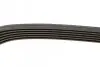 Ремень поликлиновой 6PK1020 DB; NISSAN Primera 2.0; RENAULT Shafrane 3.0 BOSCH 1987947817 (фото 3)