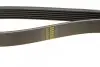 Ремень поликлиновой 6PK1020 DB; NISSAN Primera 2.0; RENAULT Shafrane 3.0 BOSCH 1987947817 (фото 4)