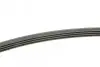 Ремень поликлиновой 4PK1213 PEUGEOT 1,8/1,9 83-98; RENAULT 1,2-2,2 90-98 BOSCH 1987946007 (фото 3)