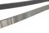 Ремень поликлиновой 6PK1815 FORD 1,6-2,5: Escort, Fiesta, Mondeo 92-00 BOSCH 1987946072 (фото 2)