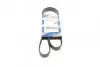Ремень поликлиновой 6PK1400 RENAULT Clio II, Kangoo 1,9D 97- 1987946059 BOSCH