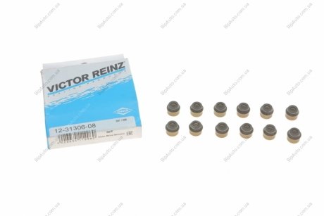 Комплект сальників клапанів VICTOR REINZ 12-31306-08 (фото 1)