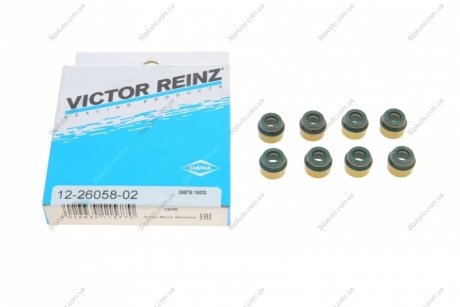 Сальники клапанів (комплект) VICTOR REINZ 12-26058-02 (фото 1)
