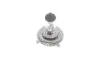 Лампа розжарювання H4 12V 60/55W P43t Pure Light 1 987 302 041 BOSCH 1987302041 (фото 4)