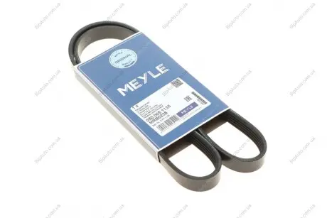 Пас поліклиновий 5 PK 1135 MEYLE 050 005 1135