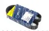 Ремень поликлиновой 6 PK 845 050 006 0845 MEYLE