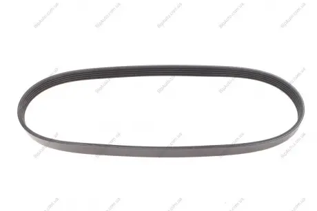 Ремінь генератора BMW 3 (E46)/5 (E39) 1.8D/2.0D 98-03 (5PK835) MEYLE 050 005 0835