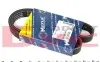 Ремень поликлиновой 6 PK 894 050 006 0894 MEYLE