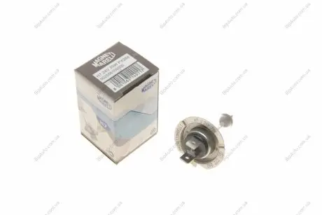 Лампа накаливания MAGNETI MARELLI 002558100000 (фото 1)