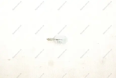 Лампа розжарювання MAGNETI MARELLI 002051900000 (фото 1)
