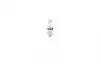 Лампа галогенная ECO H6W 12V 1987302809 BOSCH