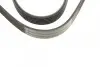 Ремень поликлиновой 6Pk1130 BOSCH 1987948440 (фото 3)