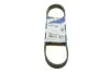 Ремень поликлиновой 6PK698 1987946034 BOSCH