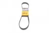 Ремень поликлиновой 6PK1059ELAST CONTITECH