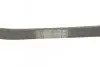 Пас поліклиновий Ford Fiesta/Focus CONTINENTAL Contitech 6PK1019ELAST (фото 3)