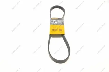 Пас поліклиновий Ford Fiesta/Focus CONTINENTAL Contitech 6PK1019ELAST