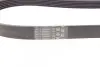 Пас поліклиновий CONTINENTAL Contitech 6PK1029ELAST (фото 3)