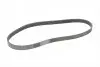 Пас поліклиновий Ford Focus/Fiesta/Fusion 1.25-1.6 CONTINENTAL Contitech 6PK1042ELAST (фото 5)