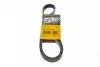 Пас поліклиновий Ford Focus 1.8/2.0 04-12 (6PK1249 CONTINENTAL Contitech 6PK1249ELAST (фото 1)