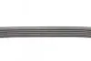 Пас поліклиновий Ford Focus 1.8/2.0 04-12 (6PK1249 CONTINENTAL Contitech 6PK1249ELAST (фото 2)