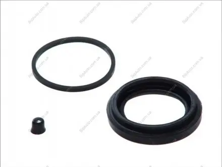 Ремонтний комплект гальм SEINSA AUTOFREN D4359