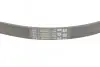 Ремень поликлиновой Contitech 5PK868ELAST (фото 3)
