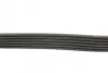 Поліклиновий ремінь 6PK691 ELAST Contitech 6PK691ELAST (фото 2)